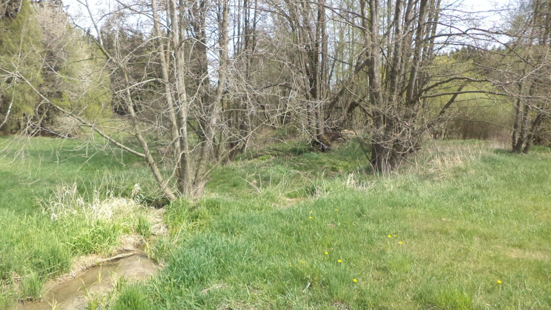 Zemědělský pozemek · 8 388 m² · Mezno Stupčice - 3