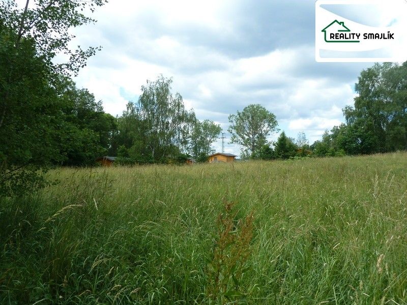 Pozemek · 5 988 m² · Jezerní, Františkovy Lázně Slatina - 4