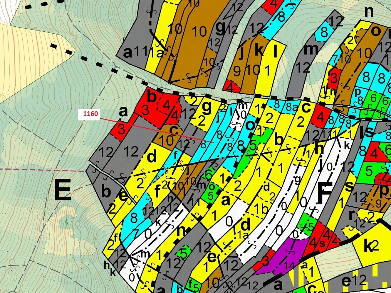 Les · Vilice, okres Tábor, Jihočeský kraj - 3