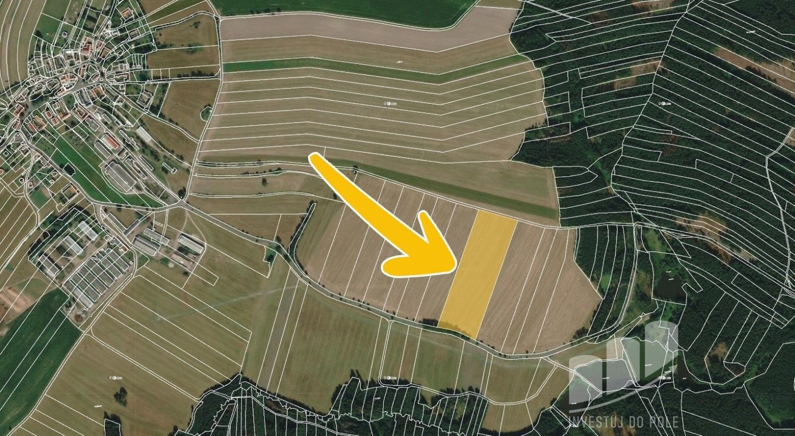 Prodej zemědělský pozemek - Rodinov, 42 627 m²