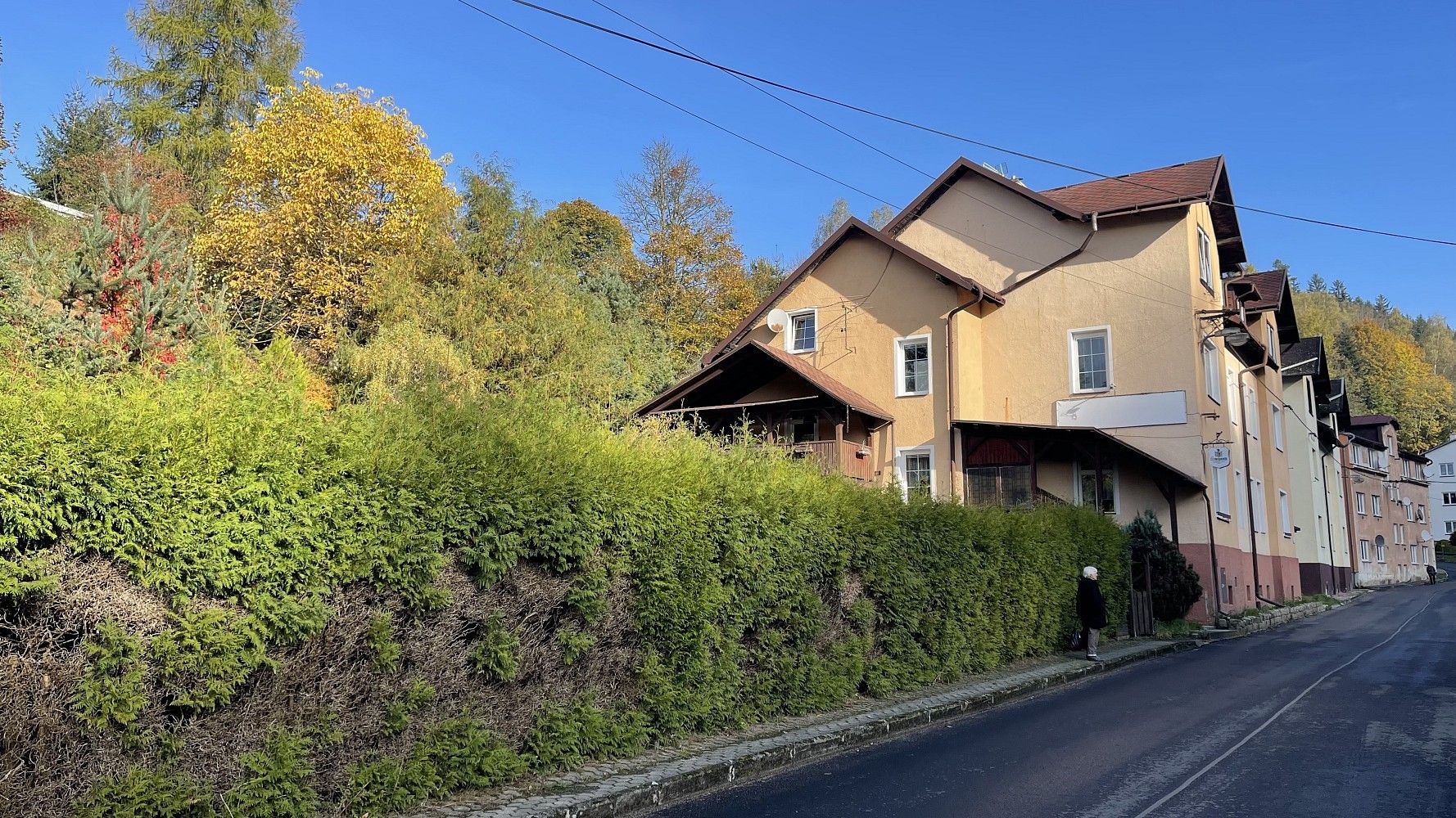 Prodej dům - Oloví - Hory, okres Sokolov, 800 m² - 5