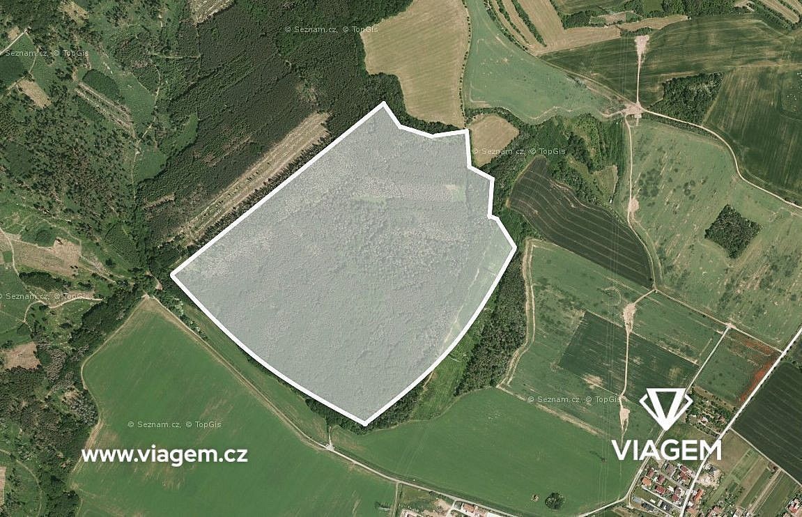 Prodej les - Sentice, okres Brno-venkov, Jihomoravský kraj - 2