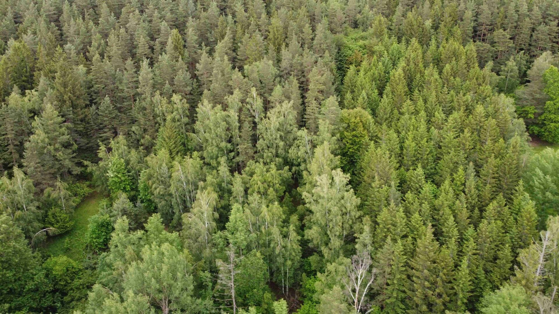 Prodej pozemek - Rejštejn, 1 m²