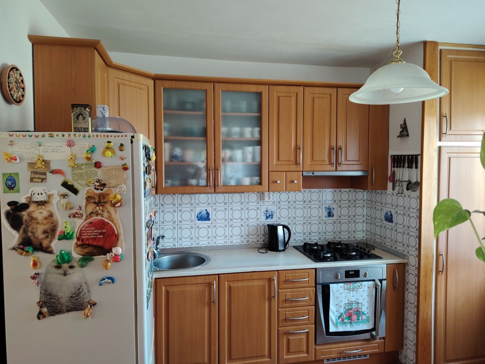 Rodinný dům · 204 m² · V Chaloupkách, Pardubice - Staré Čívice, Pardubický kraj - 4