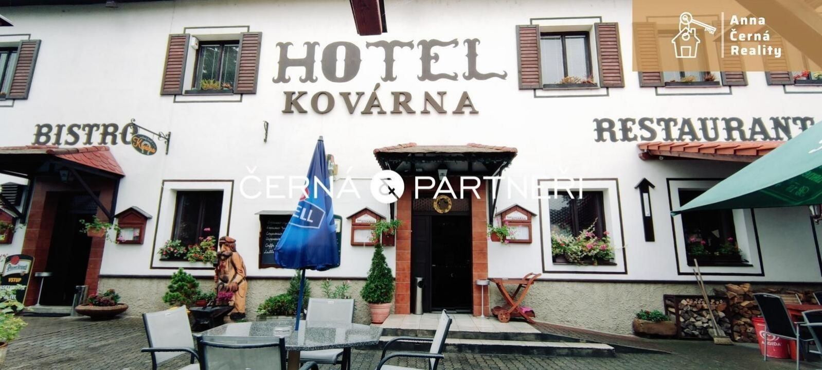Ubytovací zařízení, Vítězství  , Děčín, 1 080 m² - 2
