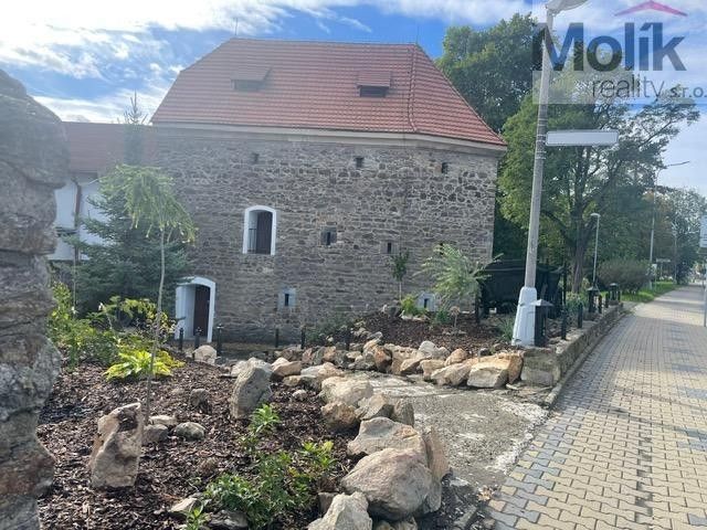 Restaurace, Bílinská, Bílina, 686 m²