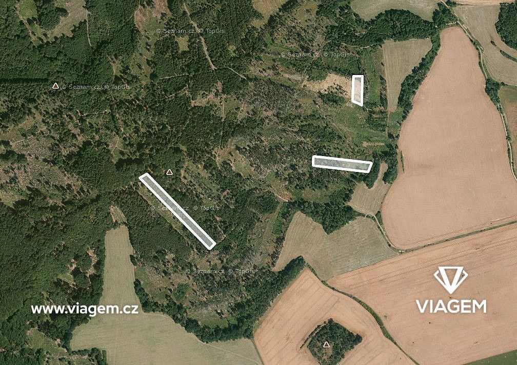 Prodej les - Všepadly, okres Domažlice, Plzeňský kraj - 1