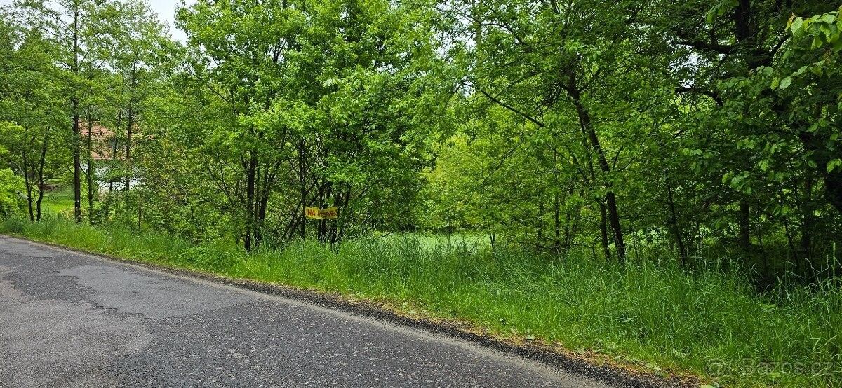 Prodej pozemek pro bydlení - Veselá u Semil, 512 52