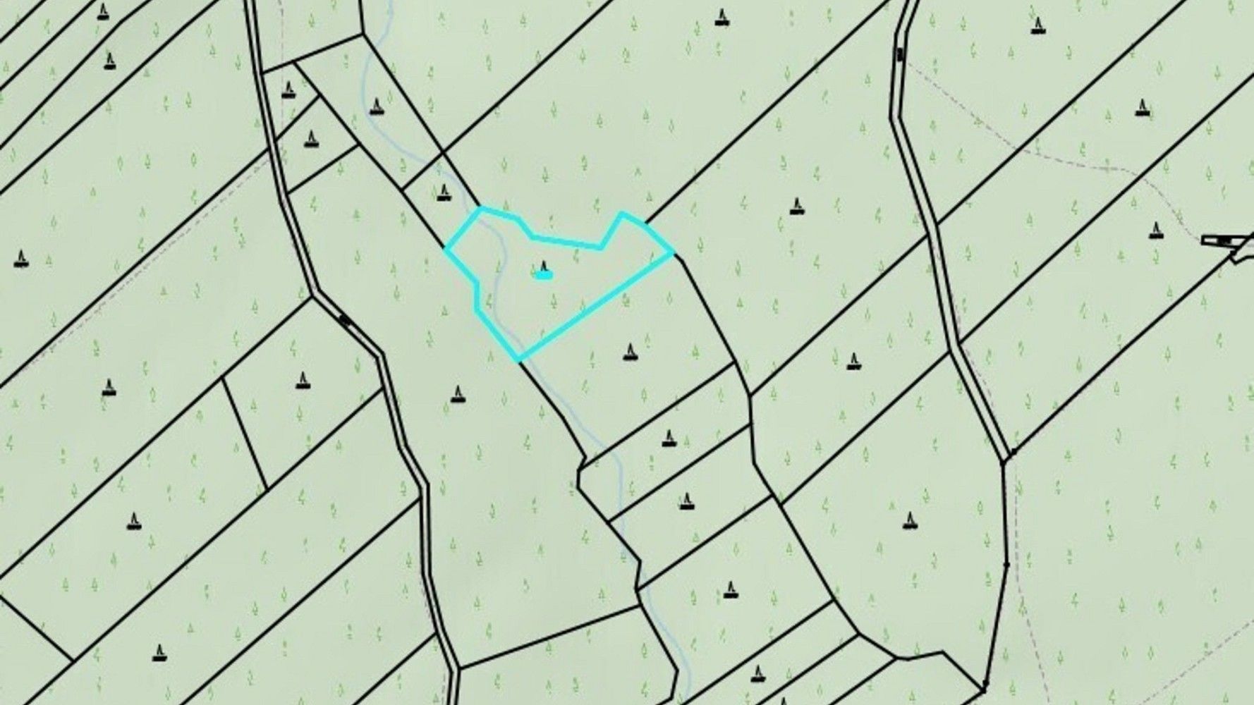 Prodej les - Pelhřimov, Kraj Vysočina - 2