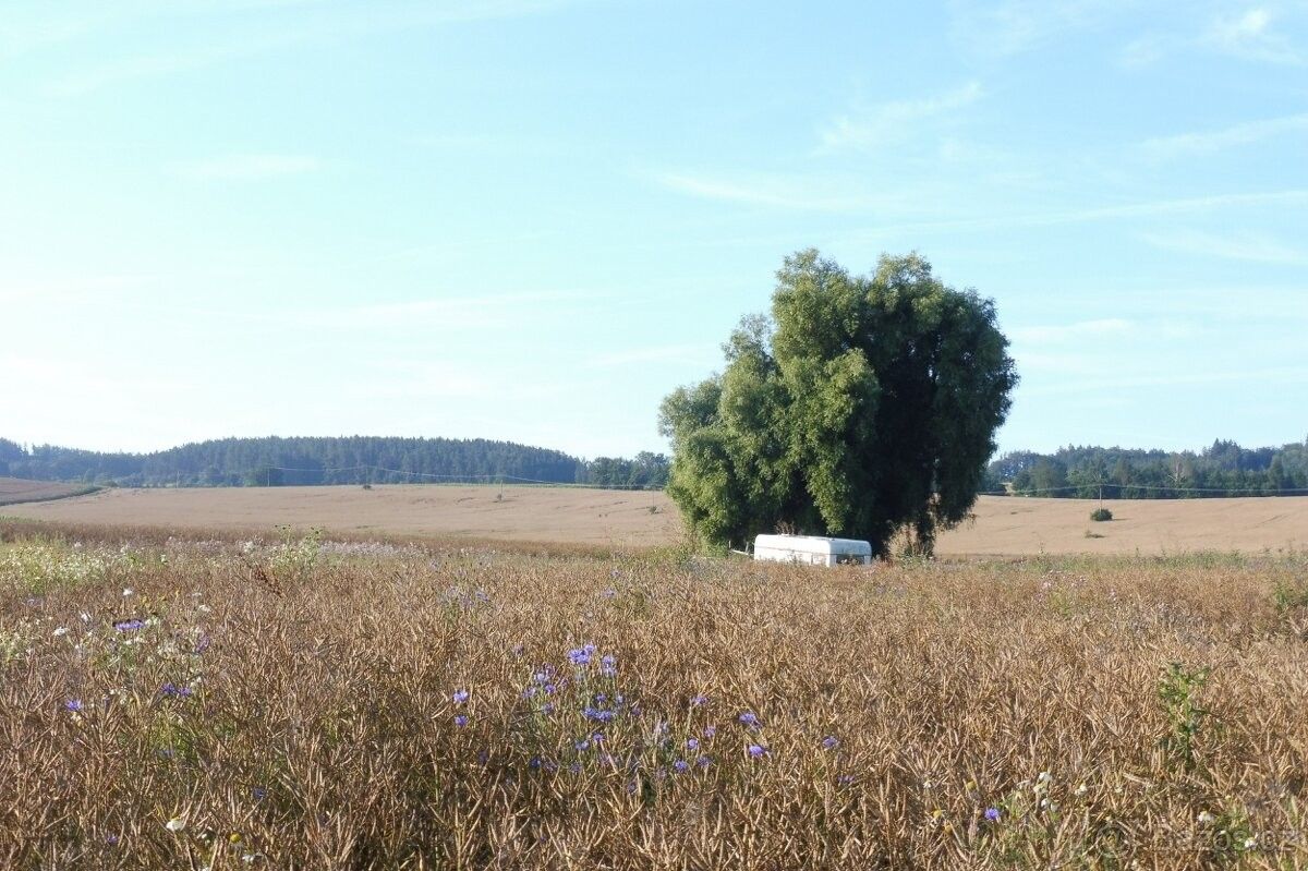 Pozemek pro bydlení · Blatná, 388 01 - 4