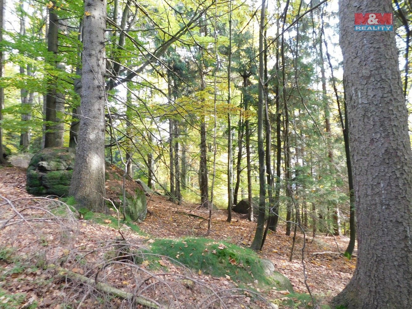 Louka · Lučany nad Nisou, okres Jablonec nad Nisou, Liberecký kraj - 2