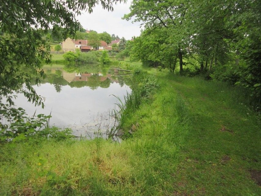 Zemědělský pozemek · Čížová Bošovice - 4