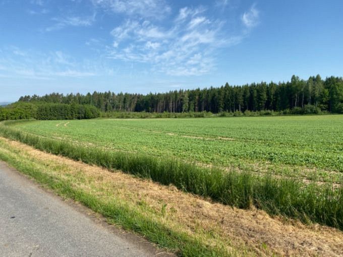 Pozemek pro bydlení · Zbizuby - Makolusky, okres Kutná Hora, Středočeský kraj - 4