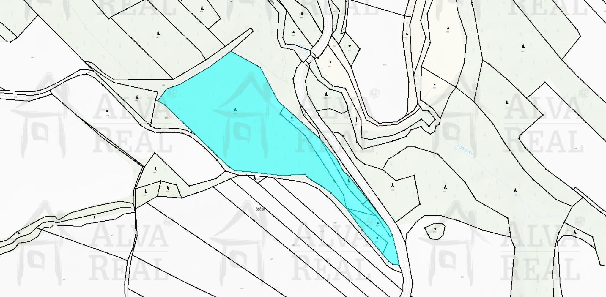 Lesy, Tasov, Žďár nad Sázavou, 24 443 m²