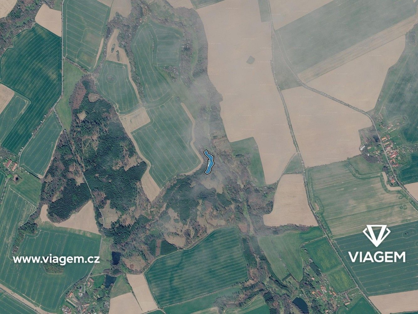 Les · Vilémov, okres Havlíčkův Brod, Kraj Vysočina - 3