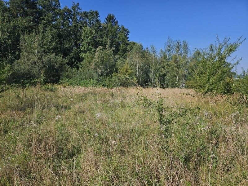 Zahrady, Boršov nad Vltavou, 373 82