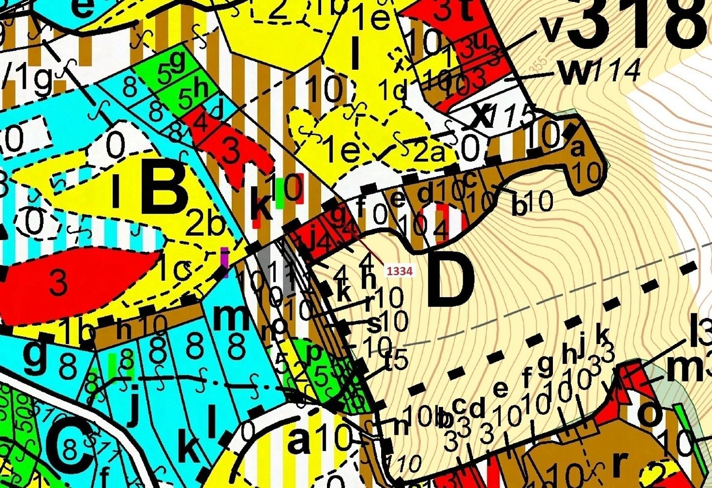 Les · Spešov, okres Blansko, Jihomoravský kraj - 3