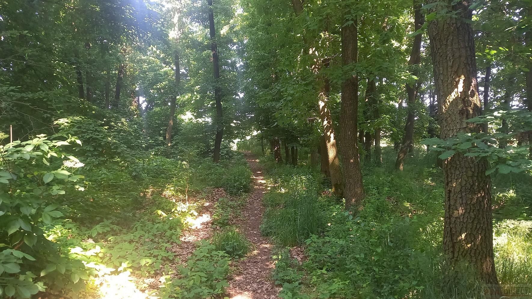 Zemědělský pozemek · 678 m² · Říčanská, Čestlice - 4