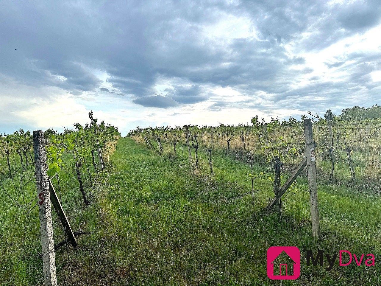 Zemědělský pozemek, 7 500 m²