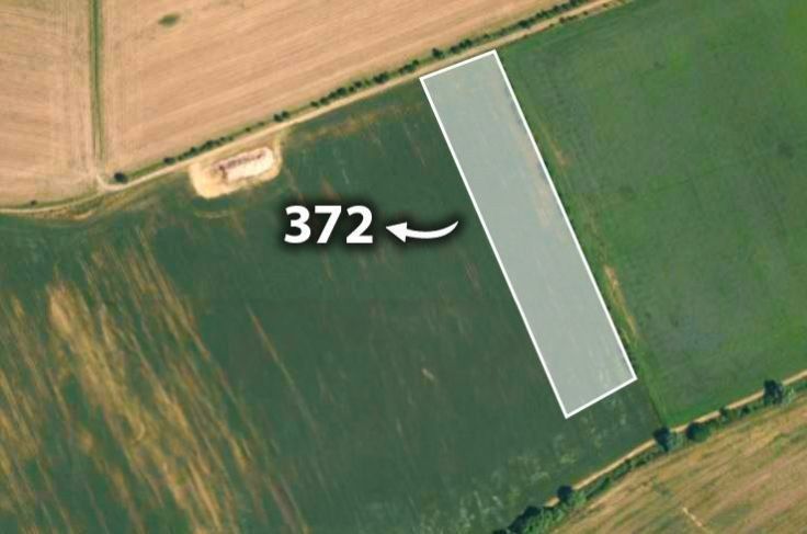 Prodej zemědělský pozemek - Bařice-Velké Těšany, 8 363 m²