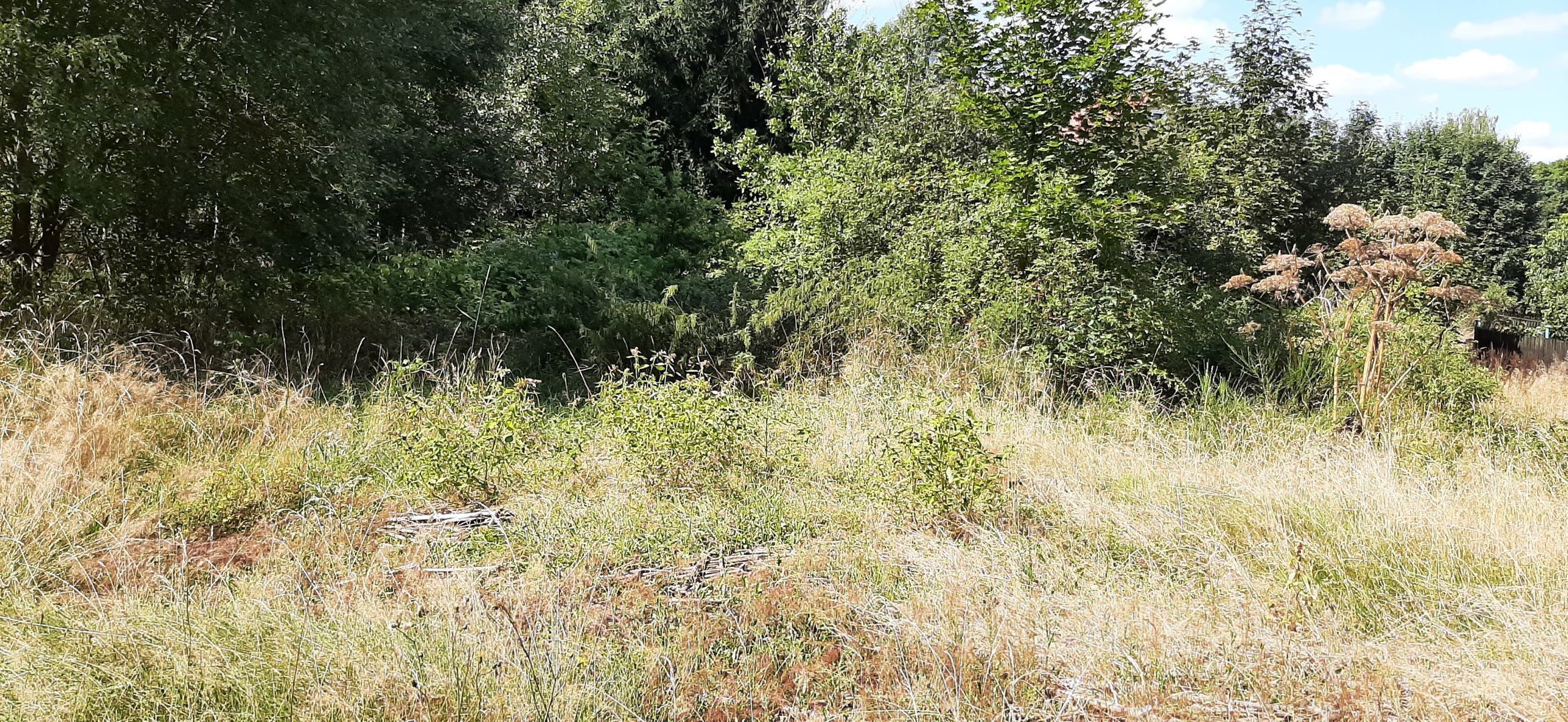 Prodej komerční pozemek - Lomnička, Plesná