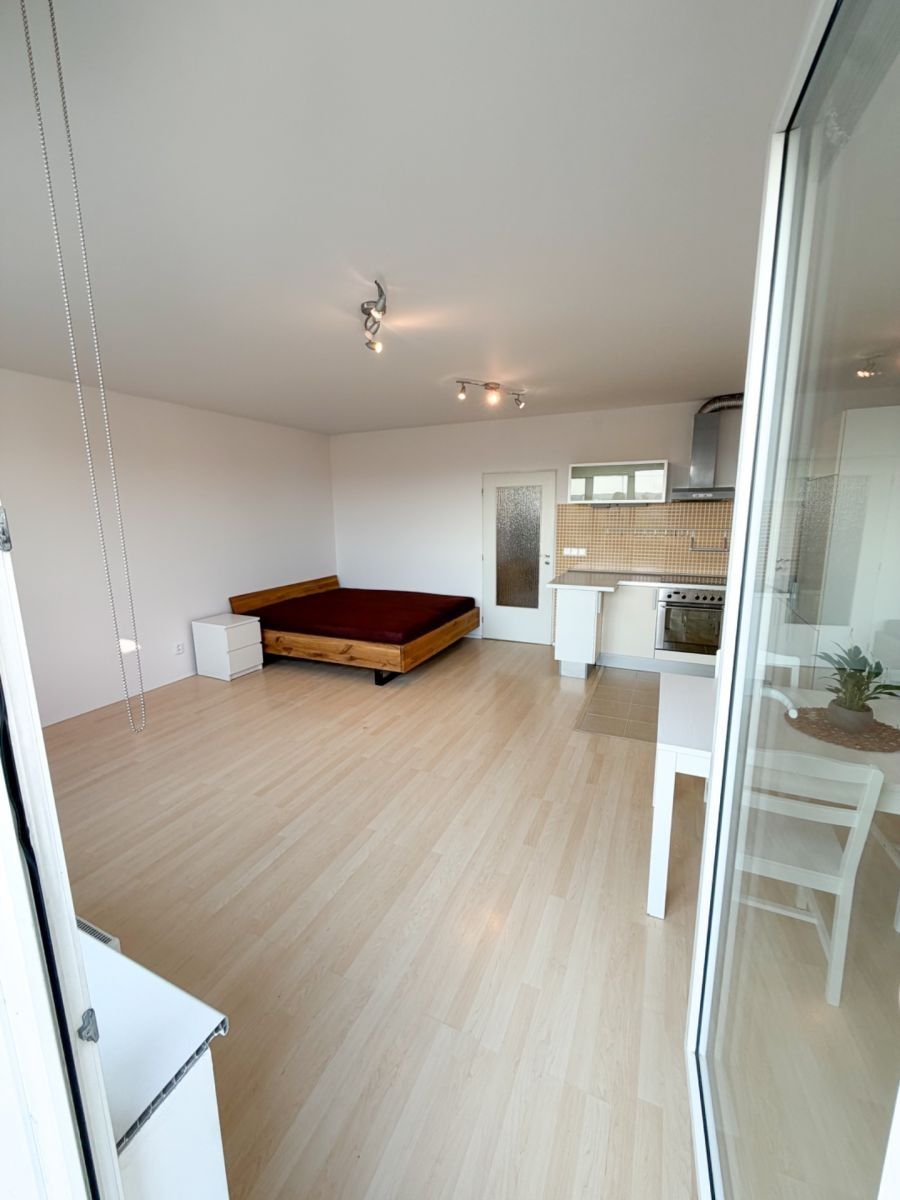 1+kk, Novobohdalecká, Praha - Michle, 42 m² - 2