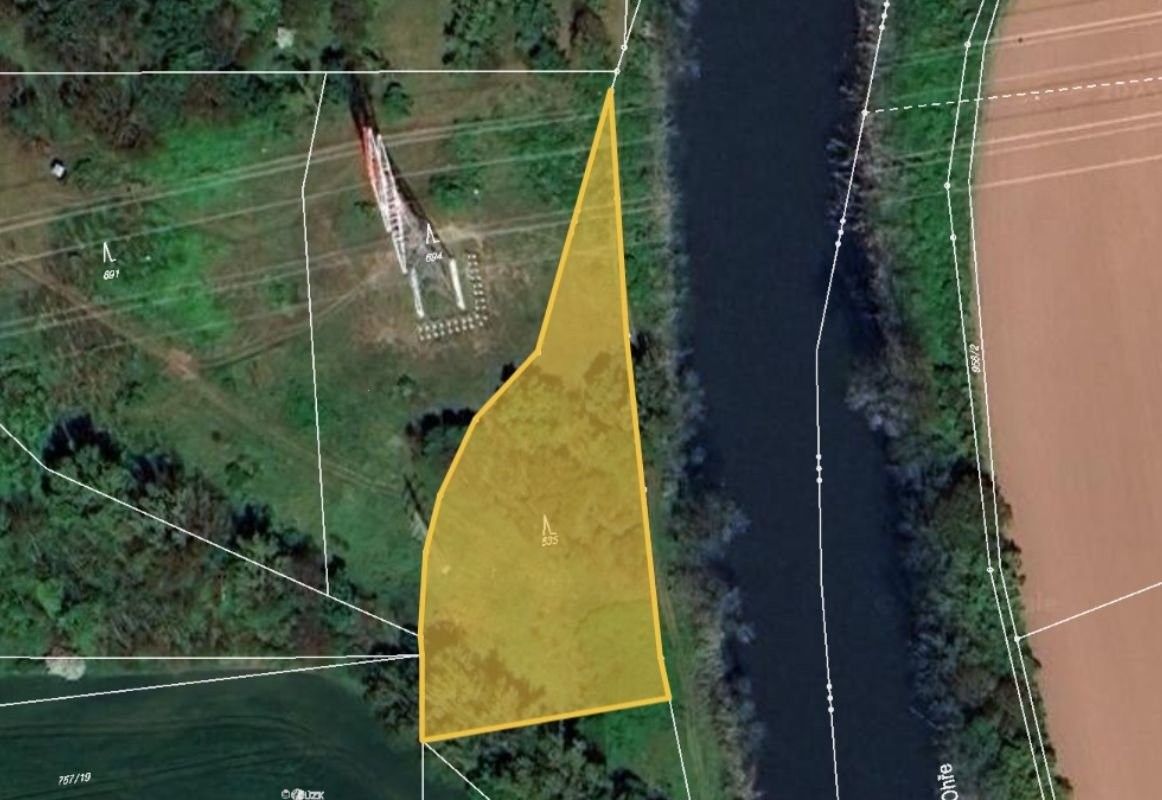 Lesy, Brňany, 194 m²