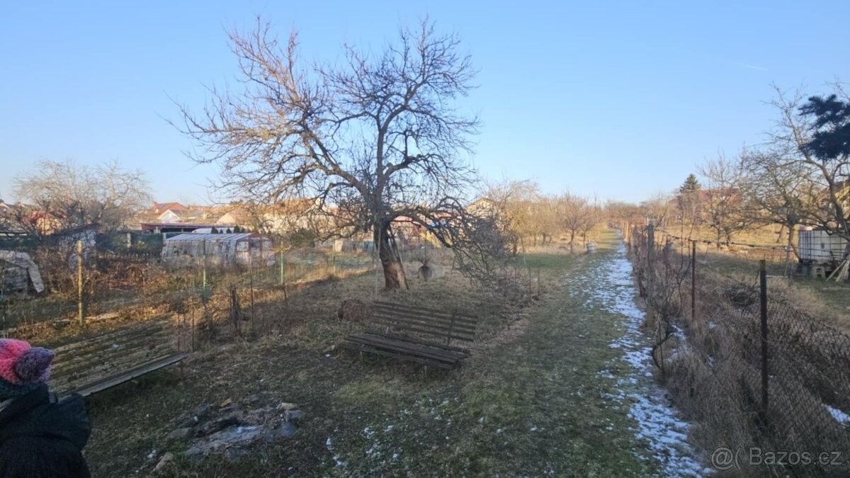 Prodej pozemek pro bydlení - Přibice, 691 24