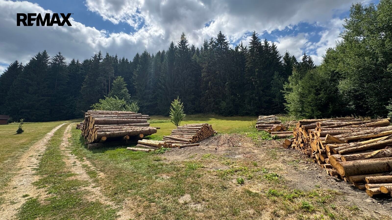 Pozemek pro bydlení · 1 387 m² · Borušov - 3