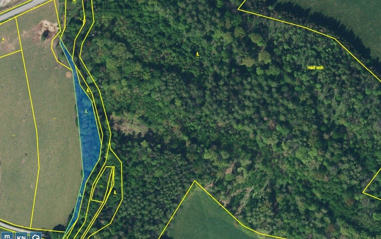 Lesy, Skorošice, okres Jeseník - 1