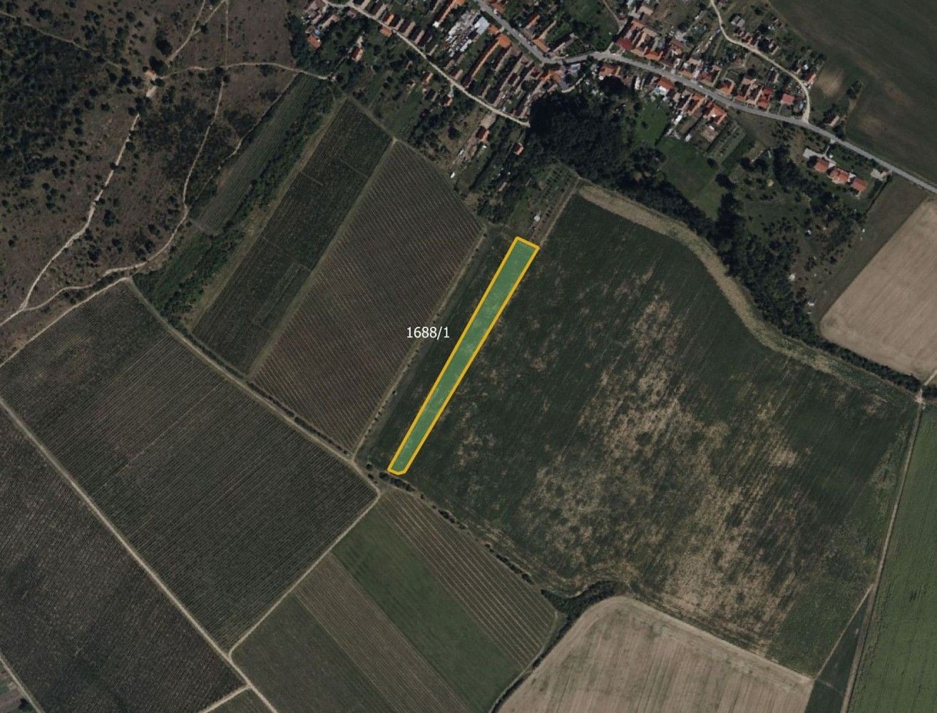 Zemědělský pozemek · Znojmo - Popice, Jihomoravský kraj - 3