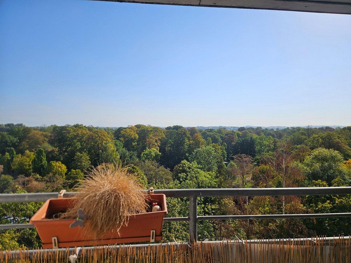 2+1, Ulm Ulm Baden-Württemberg 89073, 58 m² - 2