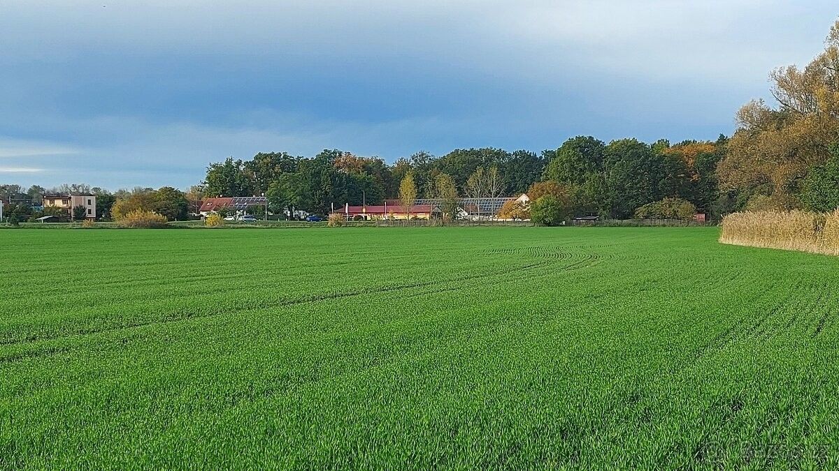 Pronájem pozemek pro bydlení - Pardubice, 530 06