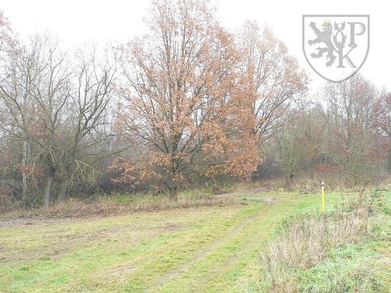Prodej pozemek - Na Příkopech 1, Blatná, 9 366 m² - 5