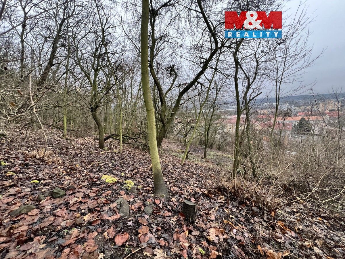 Pozemky pro bydlení, Bílina, 418 01