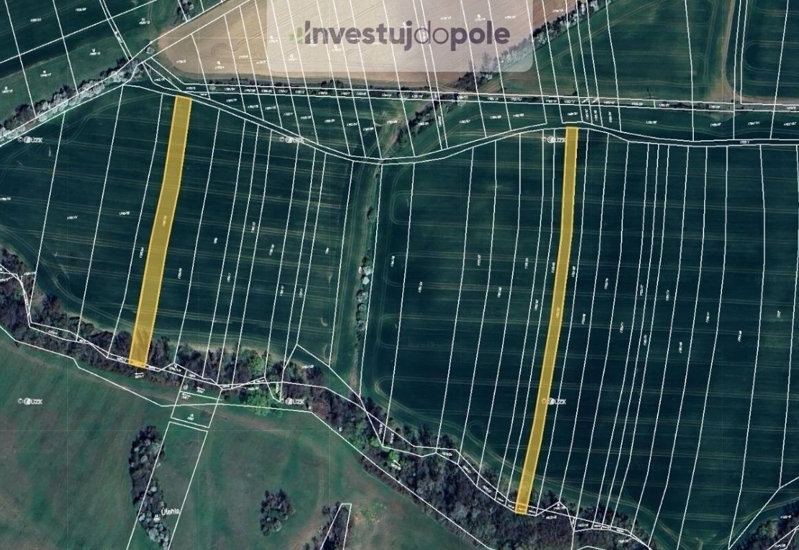 Prodej zemědělský pozemek - Osvětimany, 33 543 m²