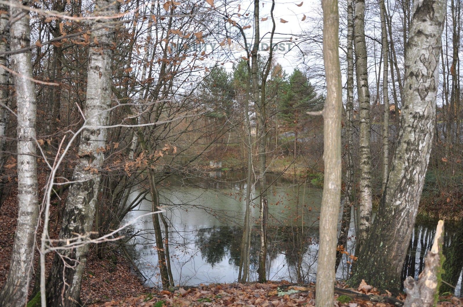 Prodej rybník - Petřvald, 1 825 m²
