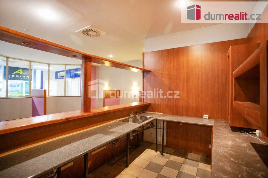 Pronájem komerční - Fr. Ondříčka, České Budějovice, 196 m²