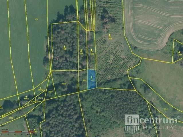 Prodej les - Radkov, 28 936 m² - 5