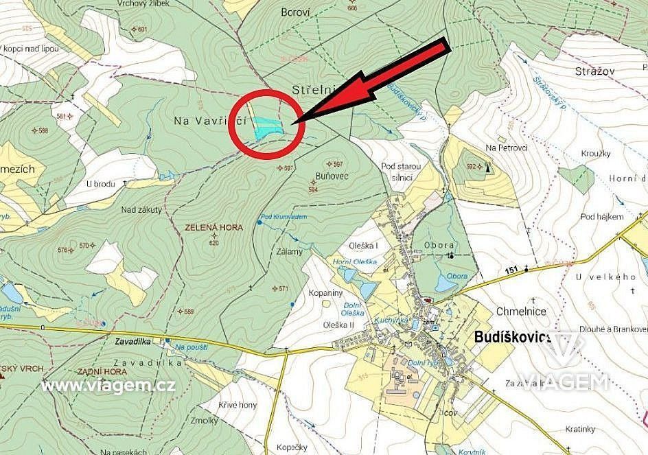 Les · Dačice, okres Jindřichův Hradec, Jihočeský kraj - 4