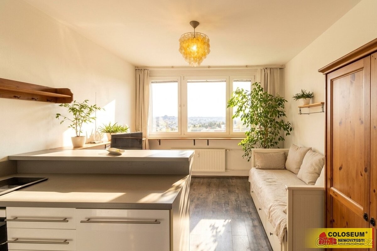 1+kk, Brno, 638 00, 23,4 m² - 1