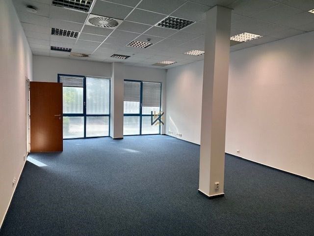 Kanceláře, Na Radosti, Praha, 244 m²