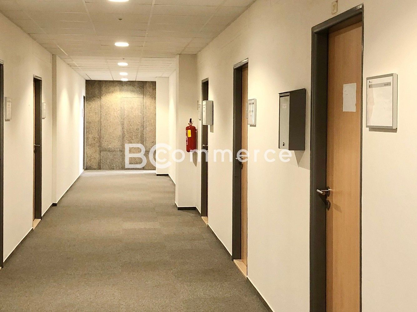 Kancelář · 37 m² · Brno - Veveří, okres Brno-město, Jihomoravský kraj - 2