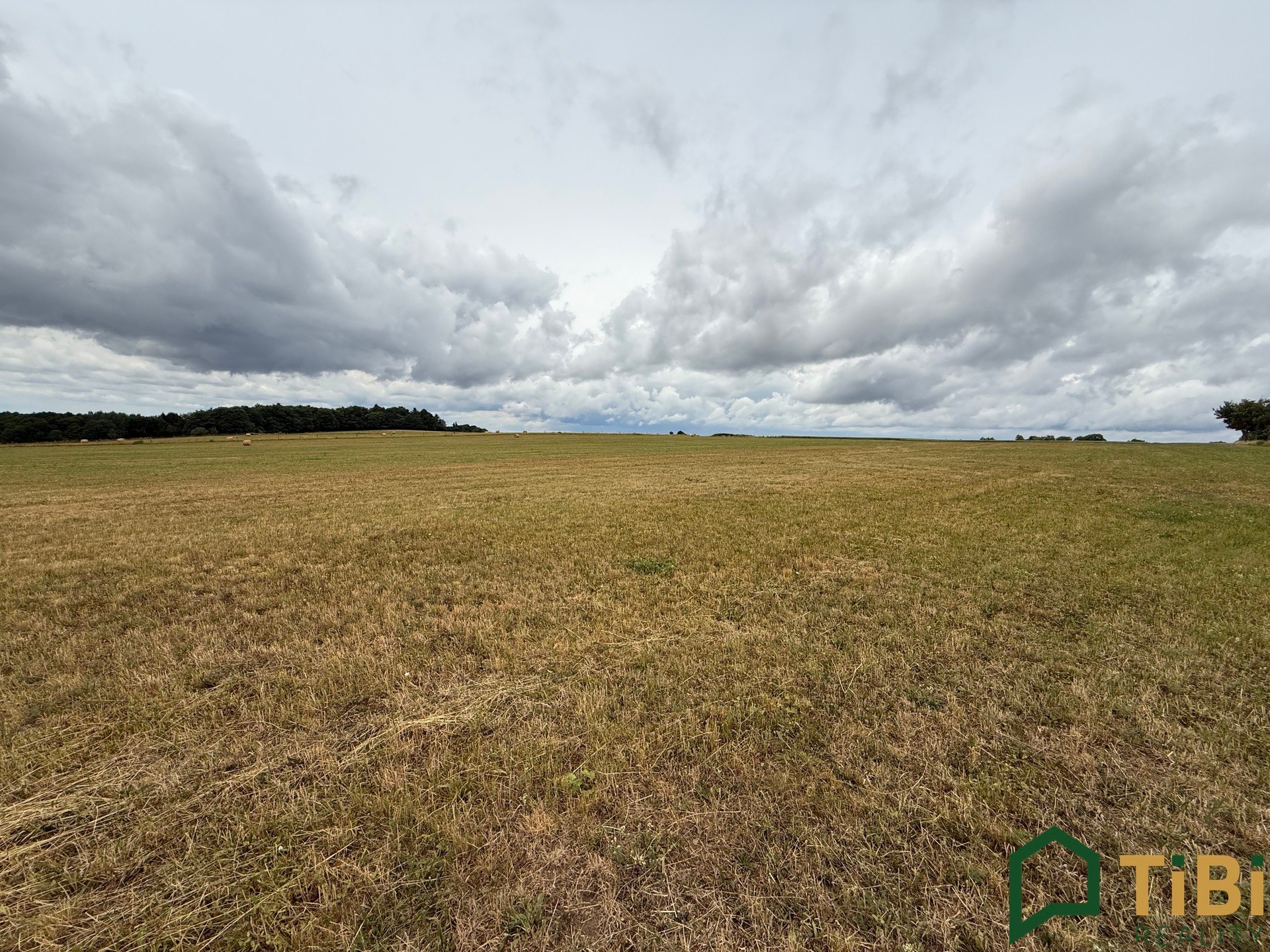 Zemědělský pozemek · 2 000 m² · Suchý - 4