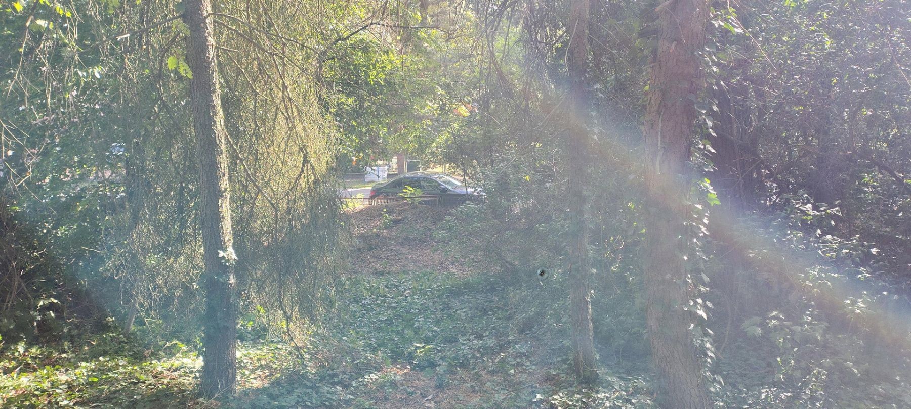 Prodej pozemek pro bydlení - Kurmärkische Straße 128, , Braniborsko - 5