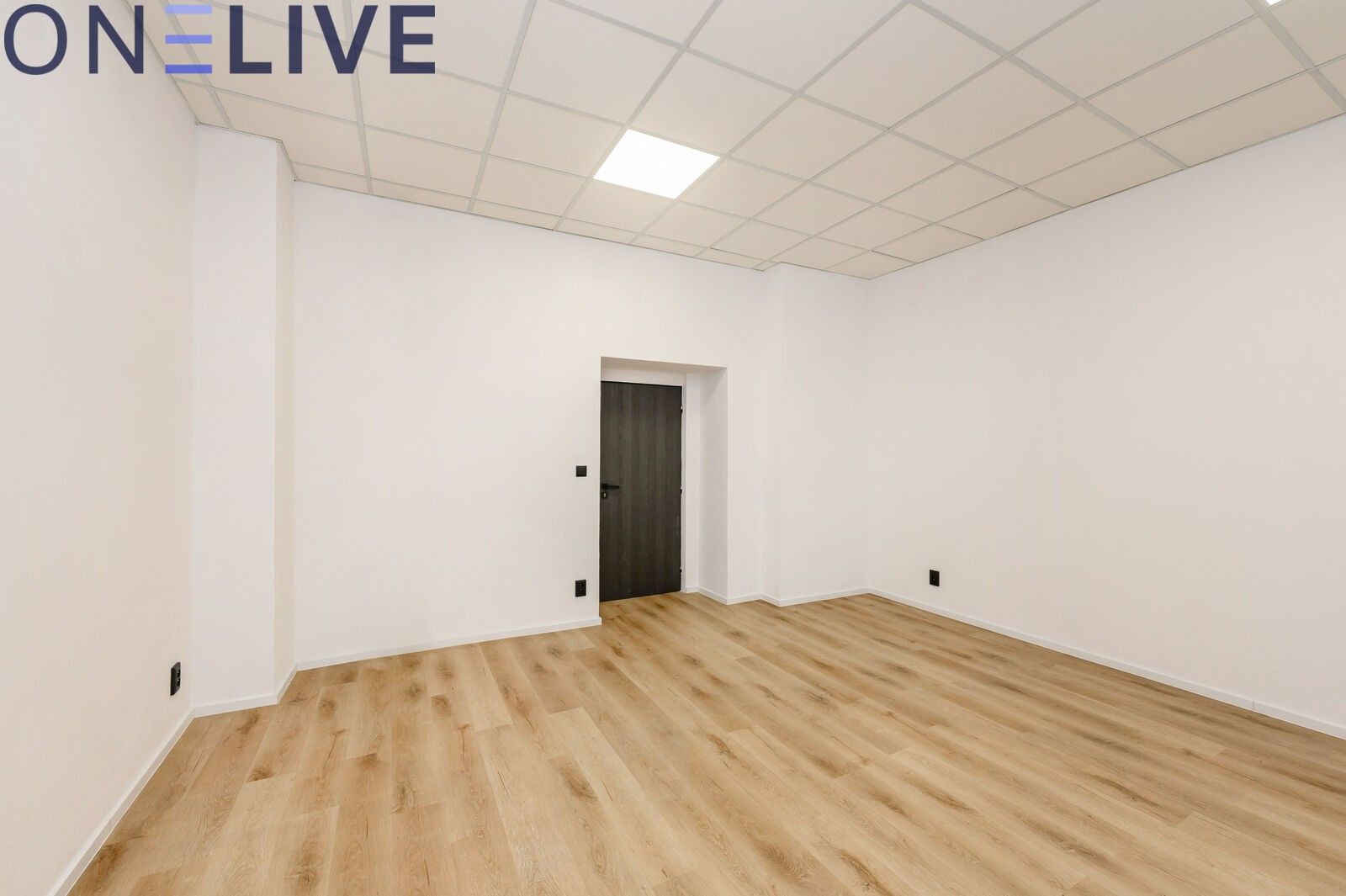 Pronájem kancelář - Tylova, Plzeň Jižní Předměstí, 22 m² - 5