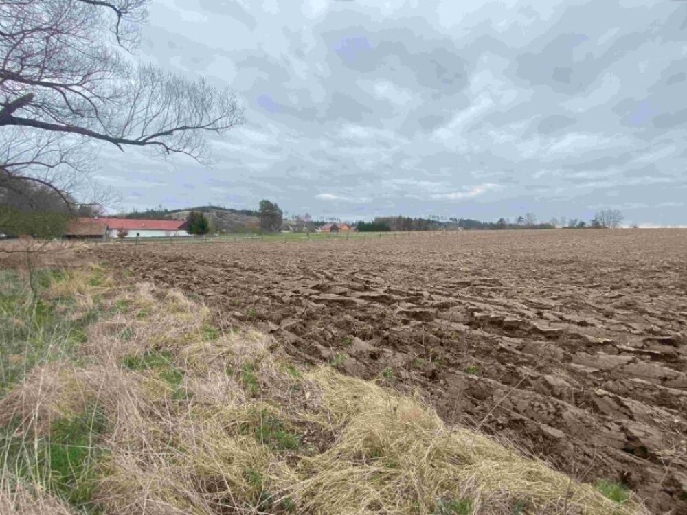 Pozemky pro bydlení, Žinkovy, 335 54