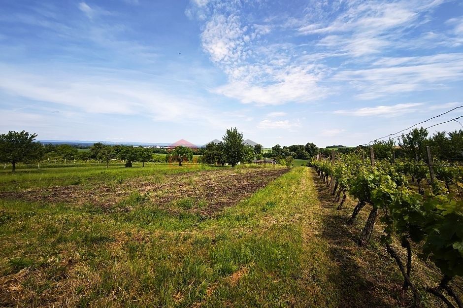 Prodej pozemek pro bydlení - Strážnice, 696 62