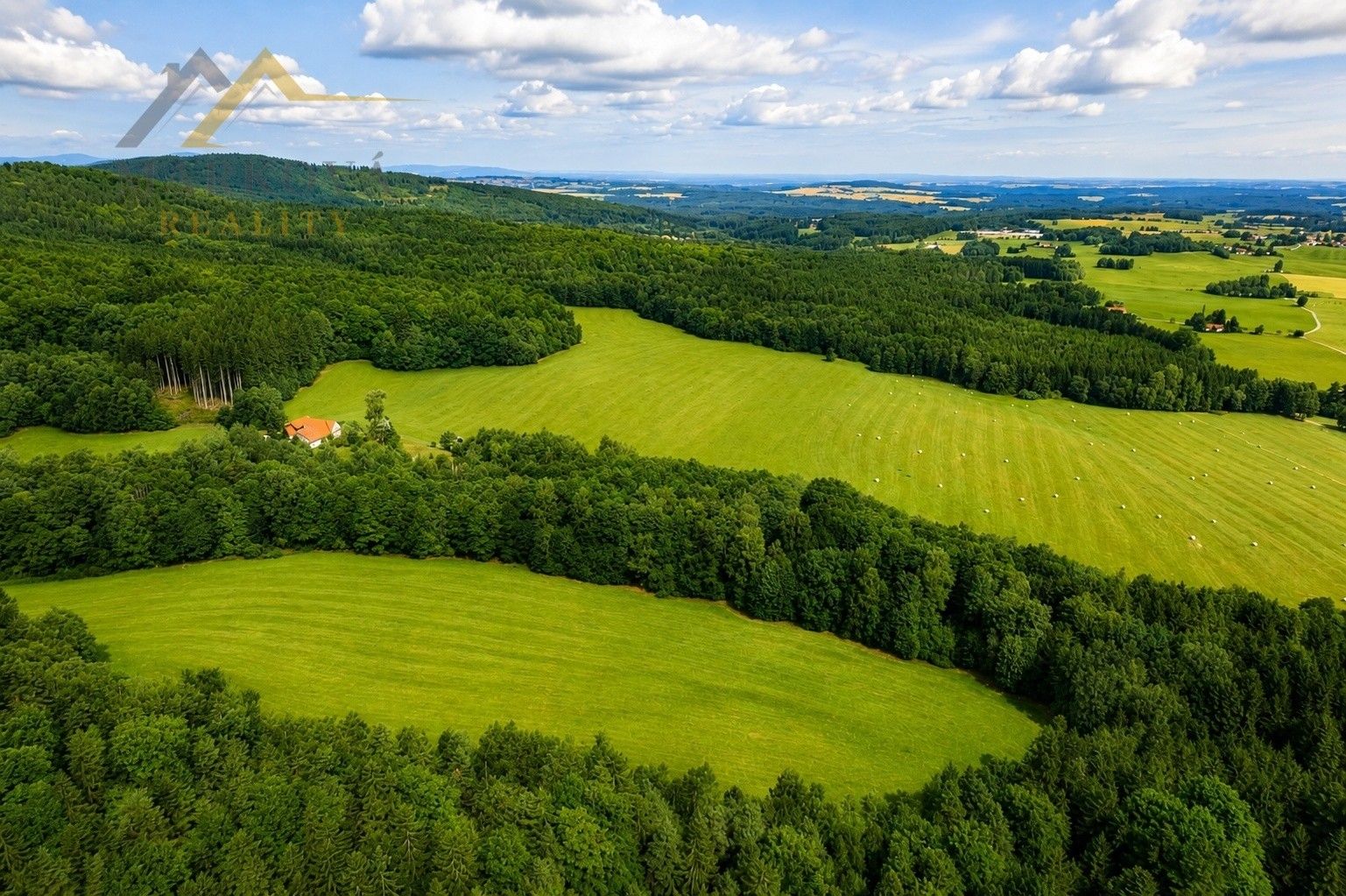 Prodej louka - Benešov nad Černou Klení, 98 591 m² - 5