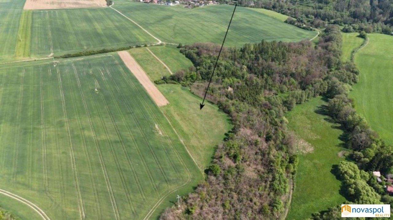Zemědělský pozemek · 10 736 m² · Okrouhlo - 3